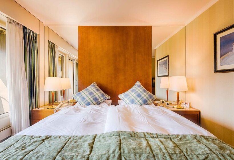 اتاق استاندارد با چشم‌انداز, Royal Plaza Montreux