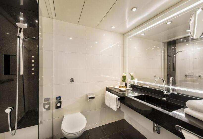 古典房间, Maritim Hotel Bonn