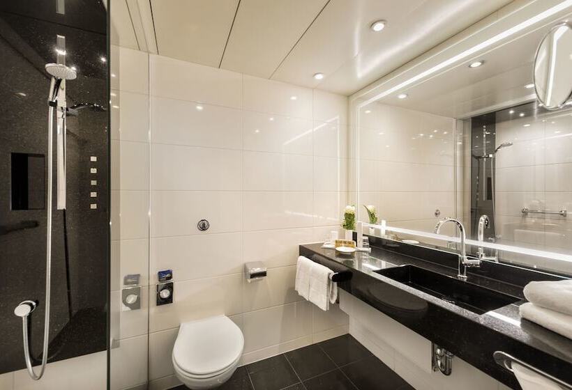 舒适型房间, Maritim Hotel Bonn