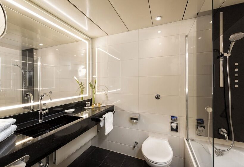 高级大房间, Maritim Hotel Bonn