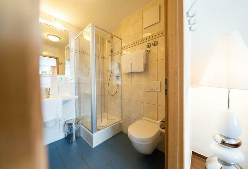 수피리어 룸, Ates Hotel Kehl