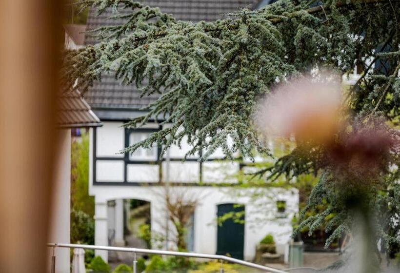 Номер Комфорт Индивидуальный, Romantik Hotel Neuhaus