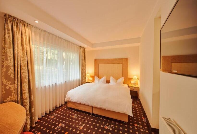 Номер Комфорт, Romantikhotel Platte