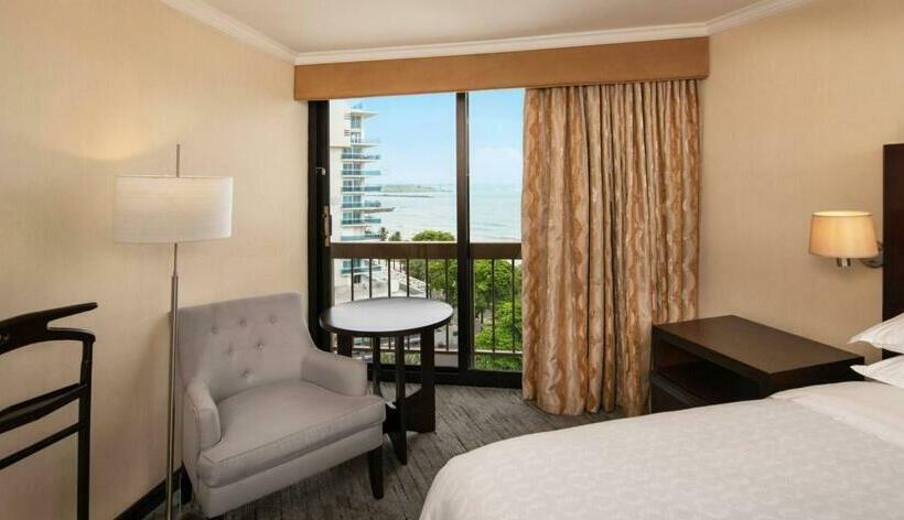 带大床的标准间, Sheraton Santo Domingo