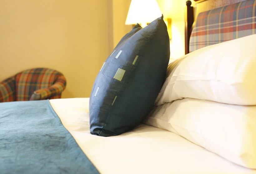 스탠다드 싱글 룸, The Lion Hotel Shrewsbury