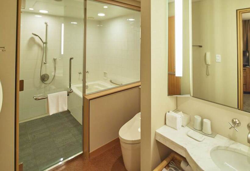 Номер Deluxe, Marunouchi