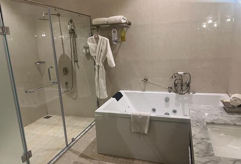 سوییت, Royal Orchid Metropole Mysore