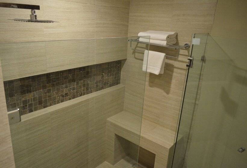 프리미엄 룸, Radisson Hotel Tapatio Guadalajara