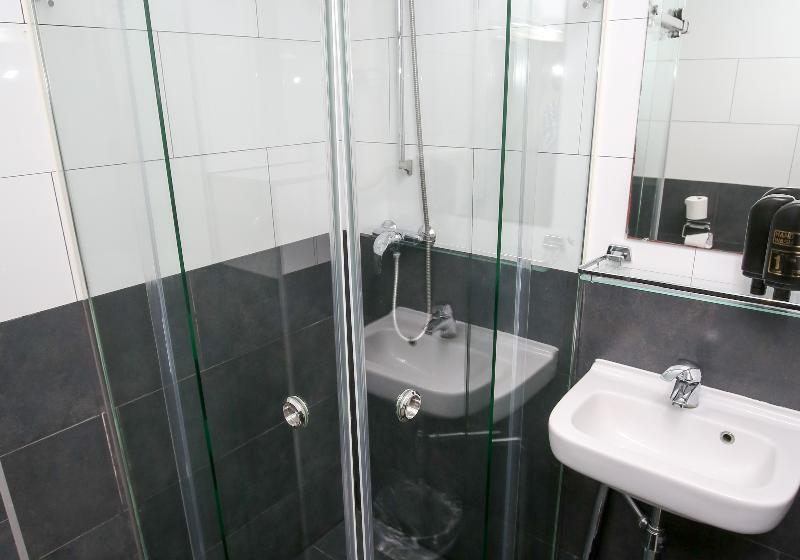اتاق استاندارد سه نفره, Flipper Amsterdam