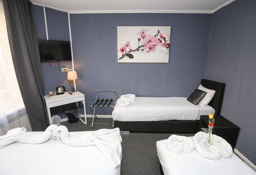 اتاق استاندارد چهار تخته, Flipper Amsterdam
