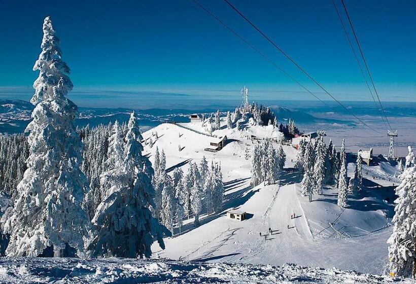 آپارتمان سوپریور 1 خوابه, Alpin Resort