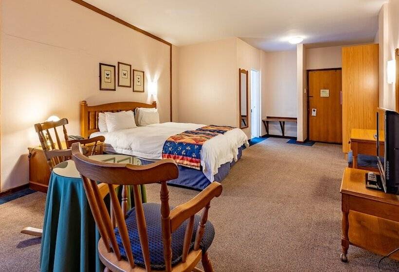 اتاق استاندارد, African Sky Hotels   Pine Lake Inn