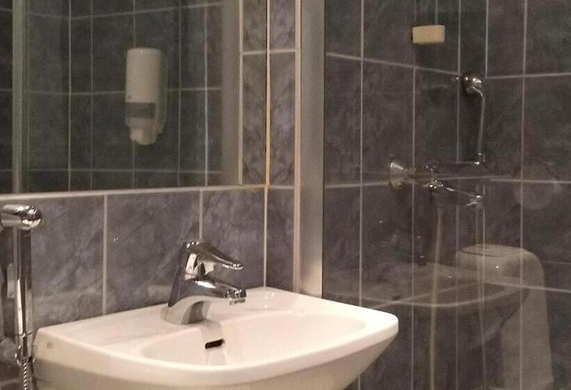 スタンダードシングルルーム, Finlandia Hotel Isovalkeinen