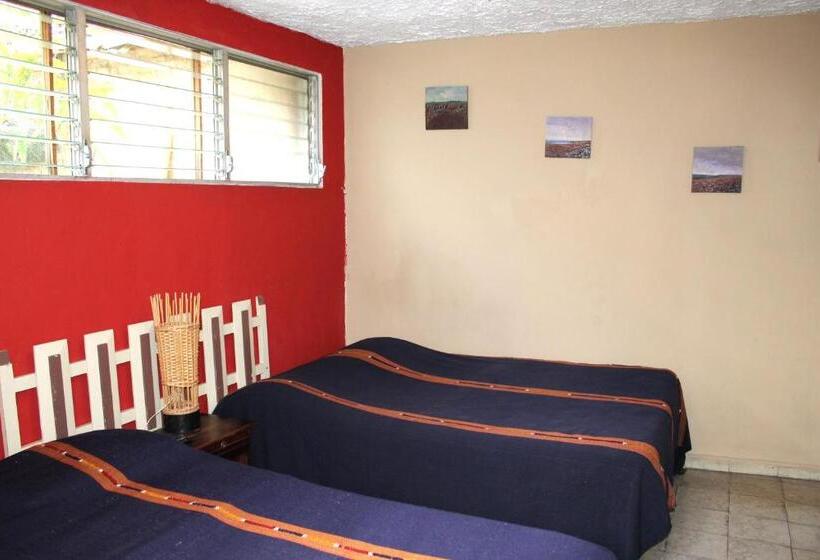 اتاق لوکس, Ximenas Guest House