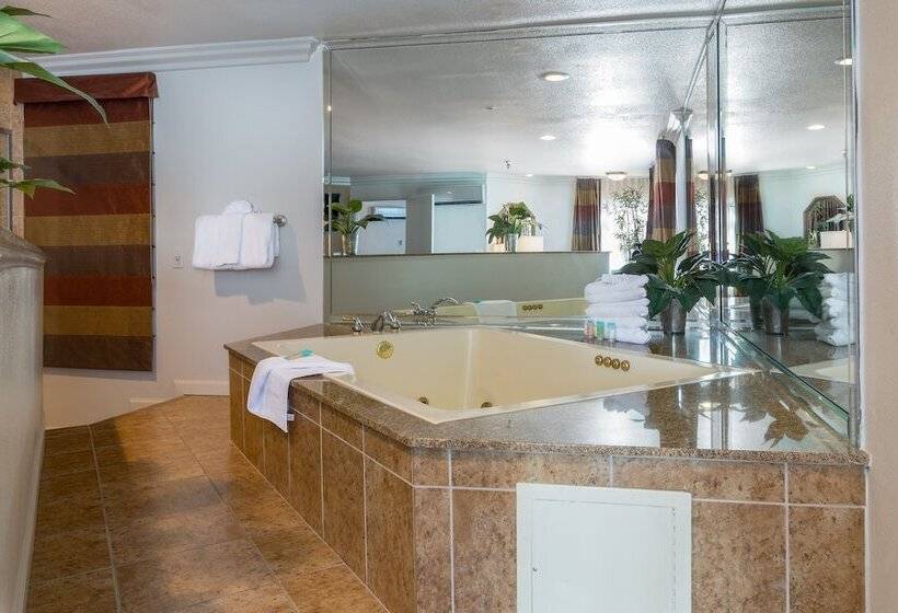 سوییت, Alexis Park All Suite Resort