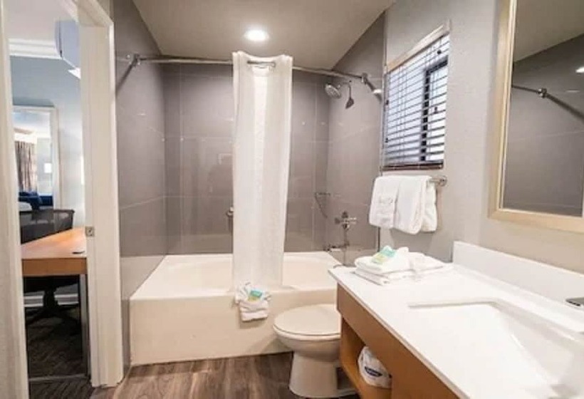 اتاق لوکس, Alexis Park All Suite Resort