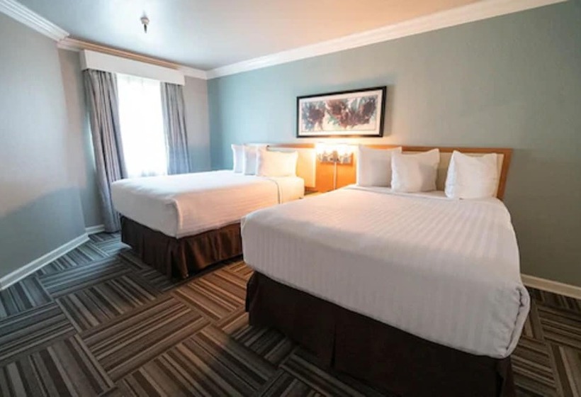 سوییت, Alexis Park All Suite Resort