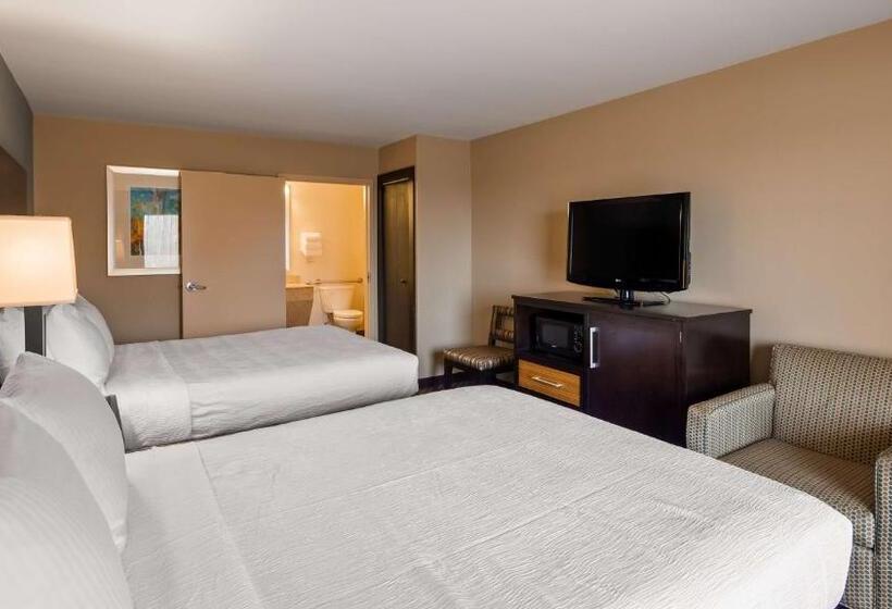 适合残疾人使用的标准间, Best Western Newport Inn
