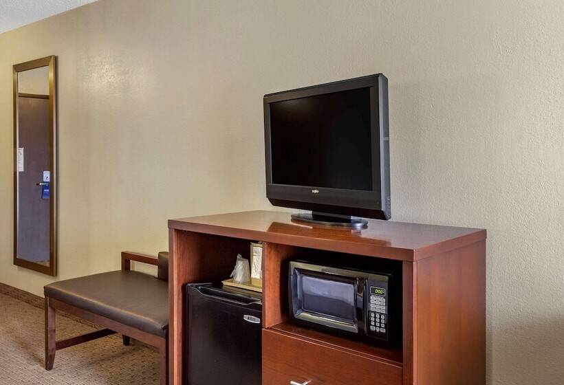 Номер Стандарт 2 Двуспальные Кровати, Comfort Inn & Suites Rochelle   Dekalb