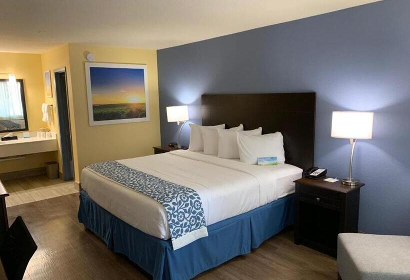 스탠다드 룸 킹사이즈 침대, Surestay Plus By Best Western Beaumont