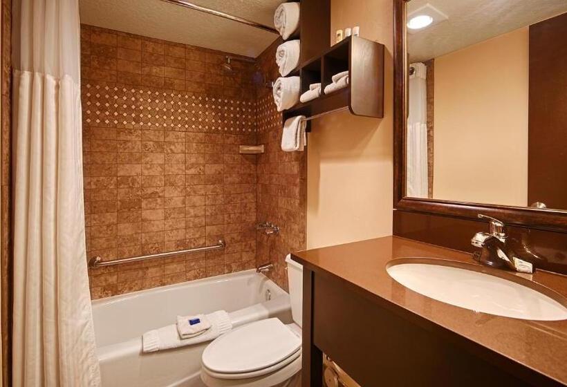 Номер Executive Кровать Кинг, Park Inn By Radisson Salt Lake Citymidvale