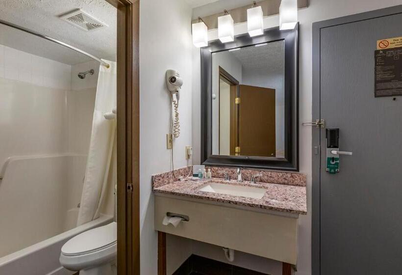 Стандартный Номер Кровать Кинг, Quality Inn Austintown Youngstown West