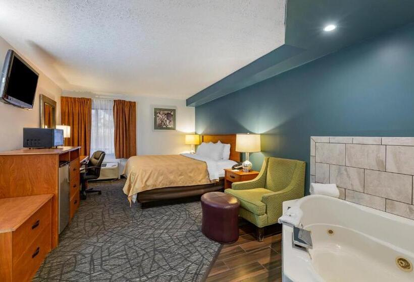 Стандартный Номер Кровать Кинг, Quality Inn Austintown Youngstown West