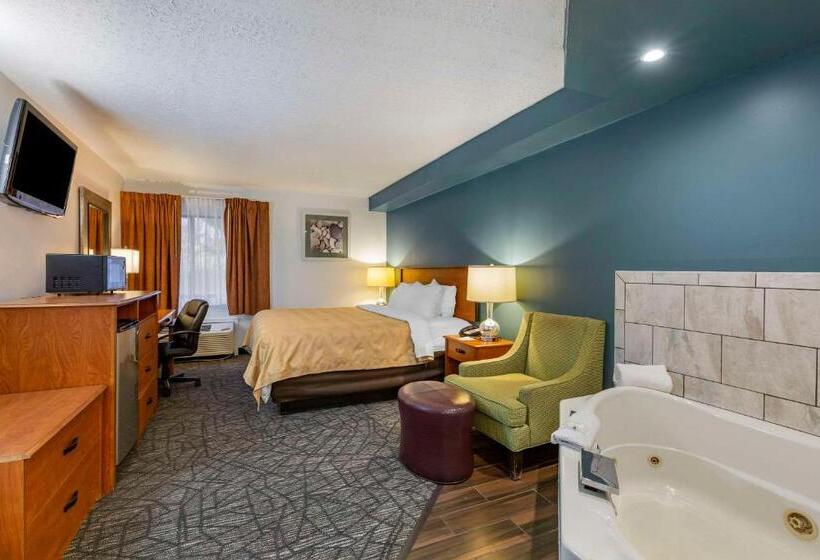 Стандартный Номер Кровать Кинг, Quality Inn Austintown Youngstown West