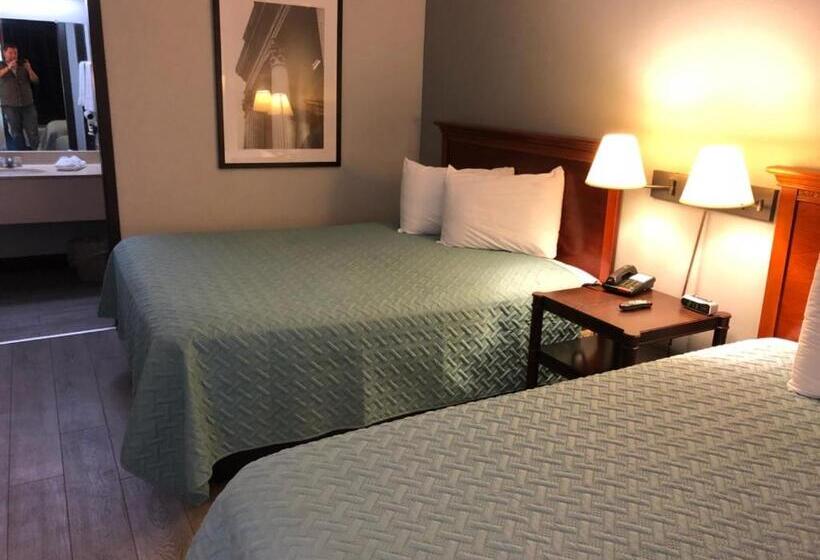 스탠다드 룸, Springfield Inn Tn