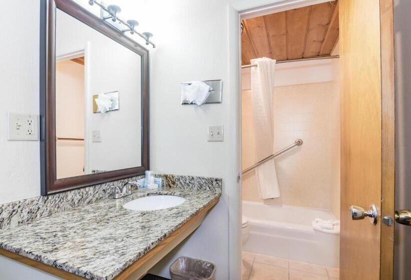 اتاق استاندارد یک نفره, Teton West Motel
