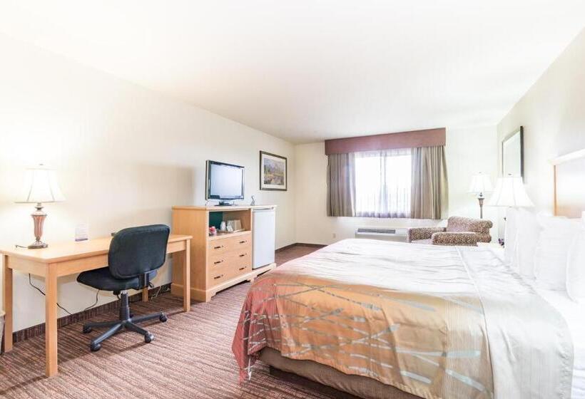 اتاق استاندارد یک تخته برای معلولان, Teton West Motel