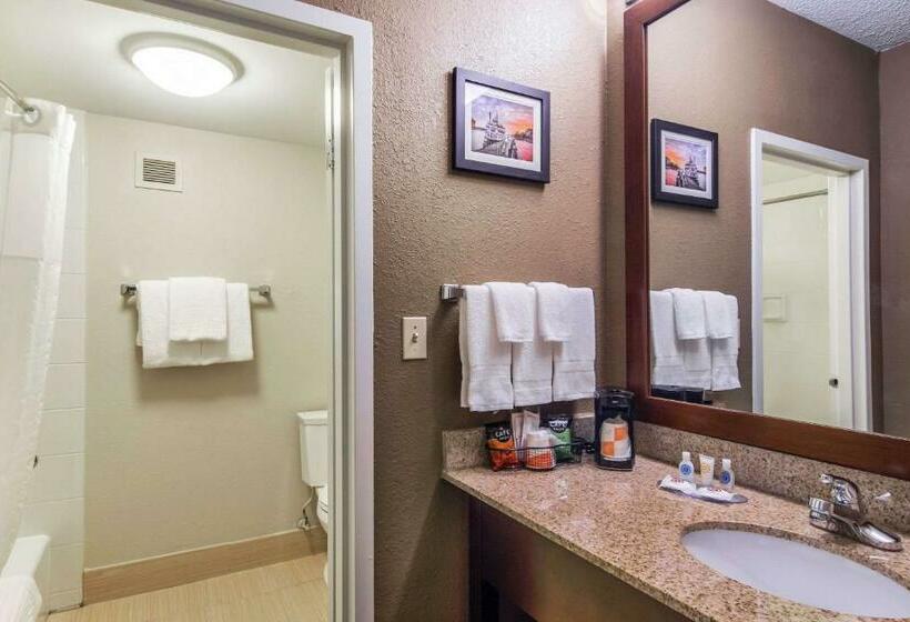 스탠다드 룸 킹사이즈 침대, Comfort Inn Roswelldunwoody