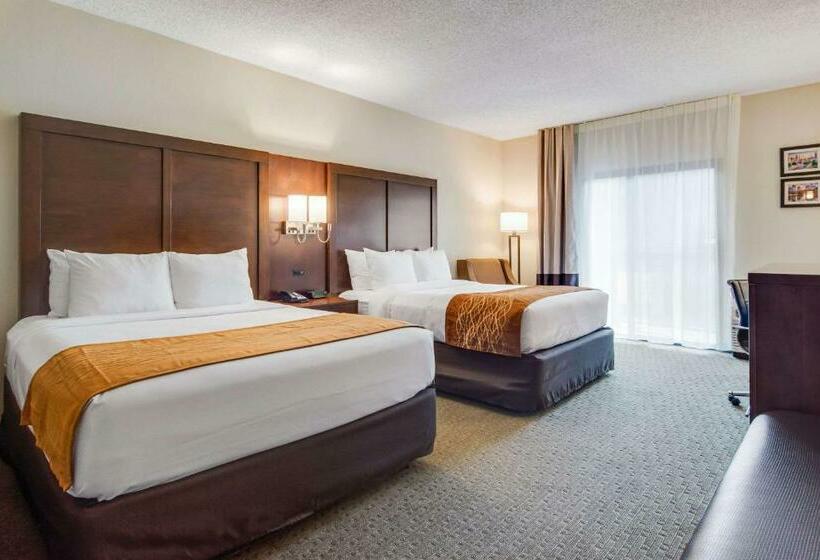 스탠다드 룸, Comfort Inn Roswelldunwoody