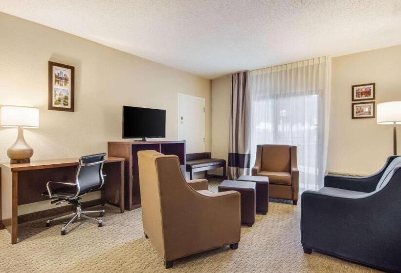 스위트, Comfort Inn Roswelldunwoody