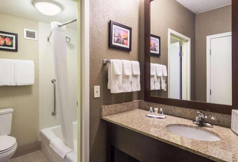 스탠다드 룸 킹사이즈 침대, Comfort Inn Roswelldunwoody
