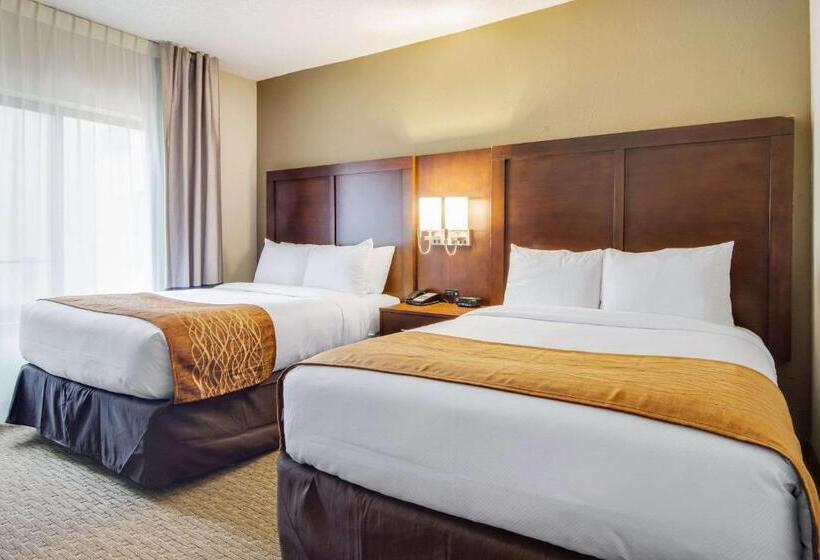 장애인을 위한 스탠다드 룸, Comfort Inn Roswelldunwoody