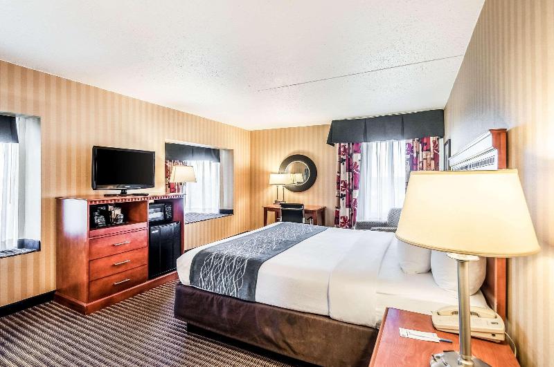 스탠다드 룸 킹사이즈 침대, Comfort Inn & Suites Alexandria West
