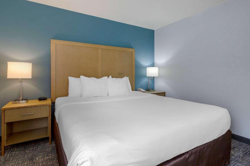 스탠다드 룸 킹사이즈 침대, Comfort Inn & Suites Alexandria West