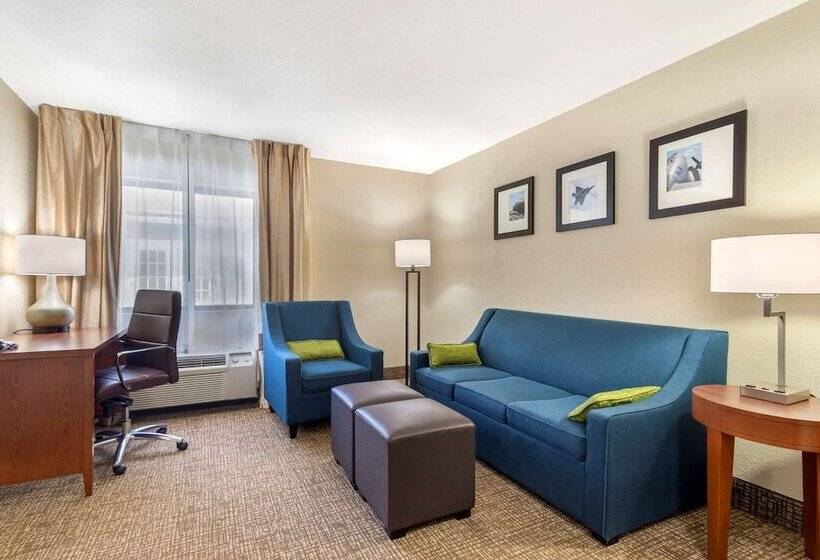 스위트, Comfort Inn & Suites  Near Robins Air Force Base Main Gate