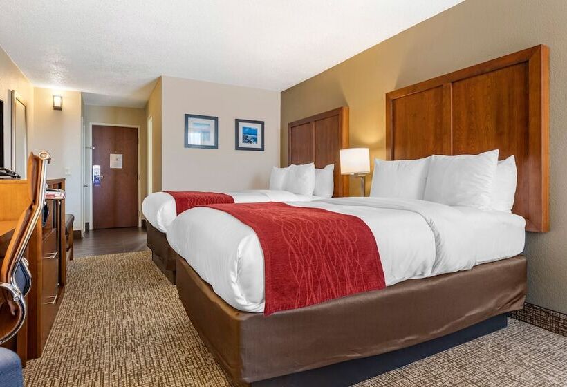 اتاق استاندارد با 2 تخت دوبل, Comfort Inn University