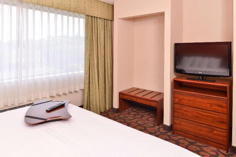 스탠다드 룸 킹사이즈 침대, Hampton Inn Denver West Federal Center