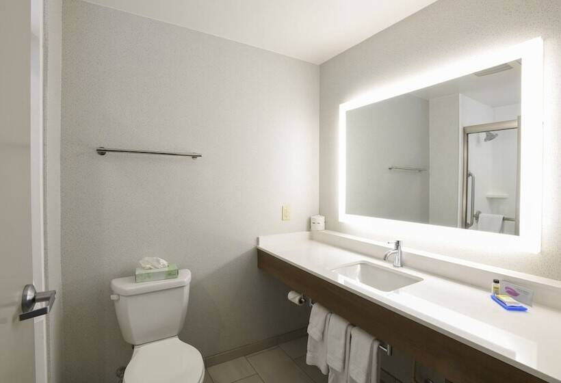 Люкс Адаптированный для Инвалидов, Holiday Inn Express Hotel & Suites Richwood   Cincinnati South, An Ihg