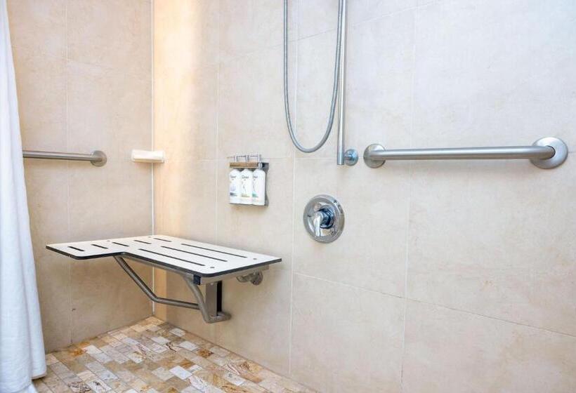 장애인을 위한 킹사이즈 침대 스탠다드 룸, Holiday Inn Express Boston Saugus, An Ihg