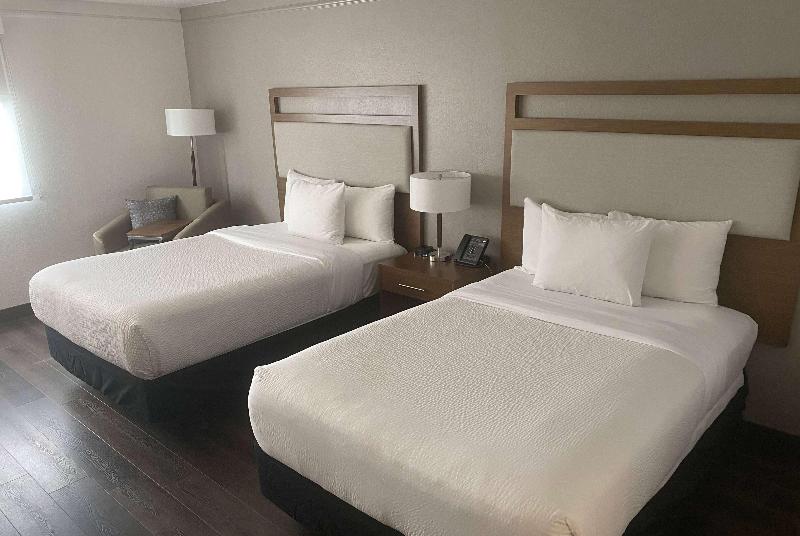 スタンダードルーム, La Quinta By Wyndham Ft Lauderdale Cypress Creek