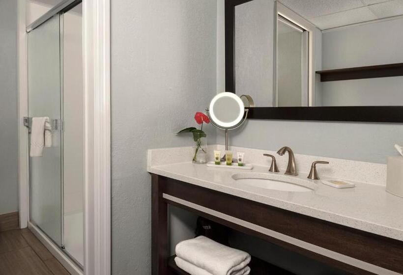 Номер Стандартный с Видом, Dolphin Beach Resort