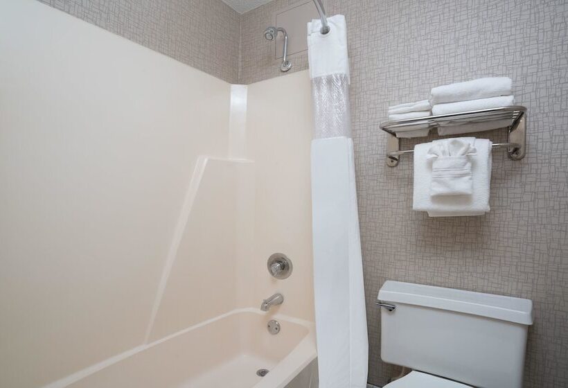 Deluxe Kamer Aangepast voor Gehandicapten, Days Hotel By Wyndham University Ave Se