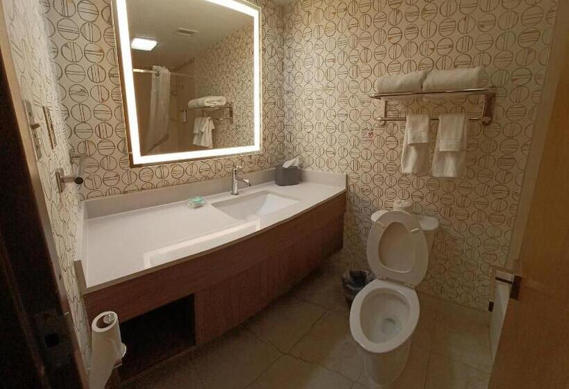 Люкс Кровать Кинг, Holiday Inn   Mcallen   Medical Center Area, An Ihg