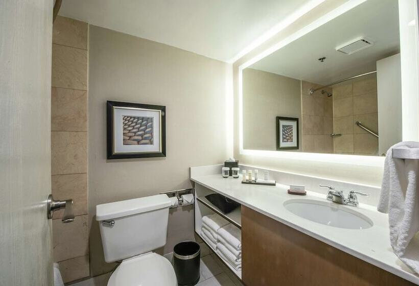Suite King Size Seng, Embassy Suites By Hilton Chicago Schaumburg Woodfield