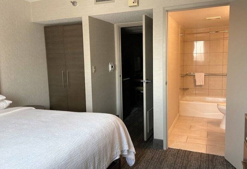 Suite Tilpasset til Handicappede, Embassy Suites By Hilton Chicago Schaumburg Woodfield