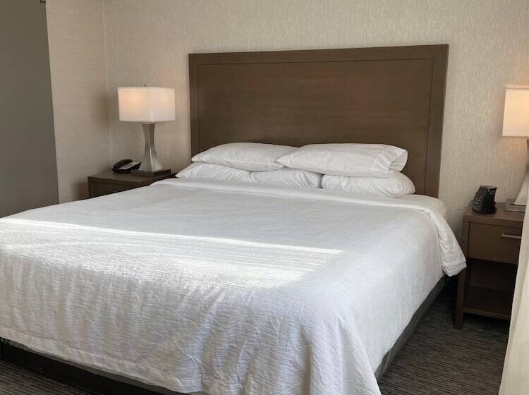 Suite Tilpasset til Handicappede, Embassy Suites By Hilton Chicago Schaumburg Woodfield